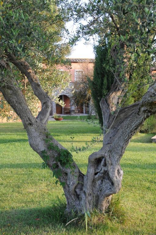 Relais Le Ginestre Villa Saturnia Ngoại thất bức ảnh